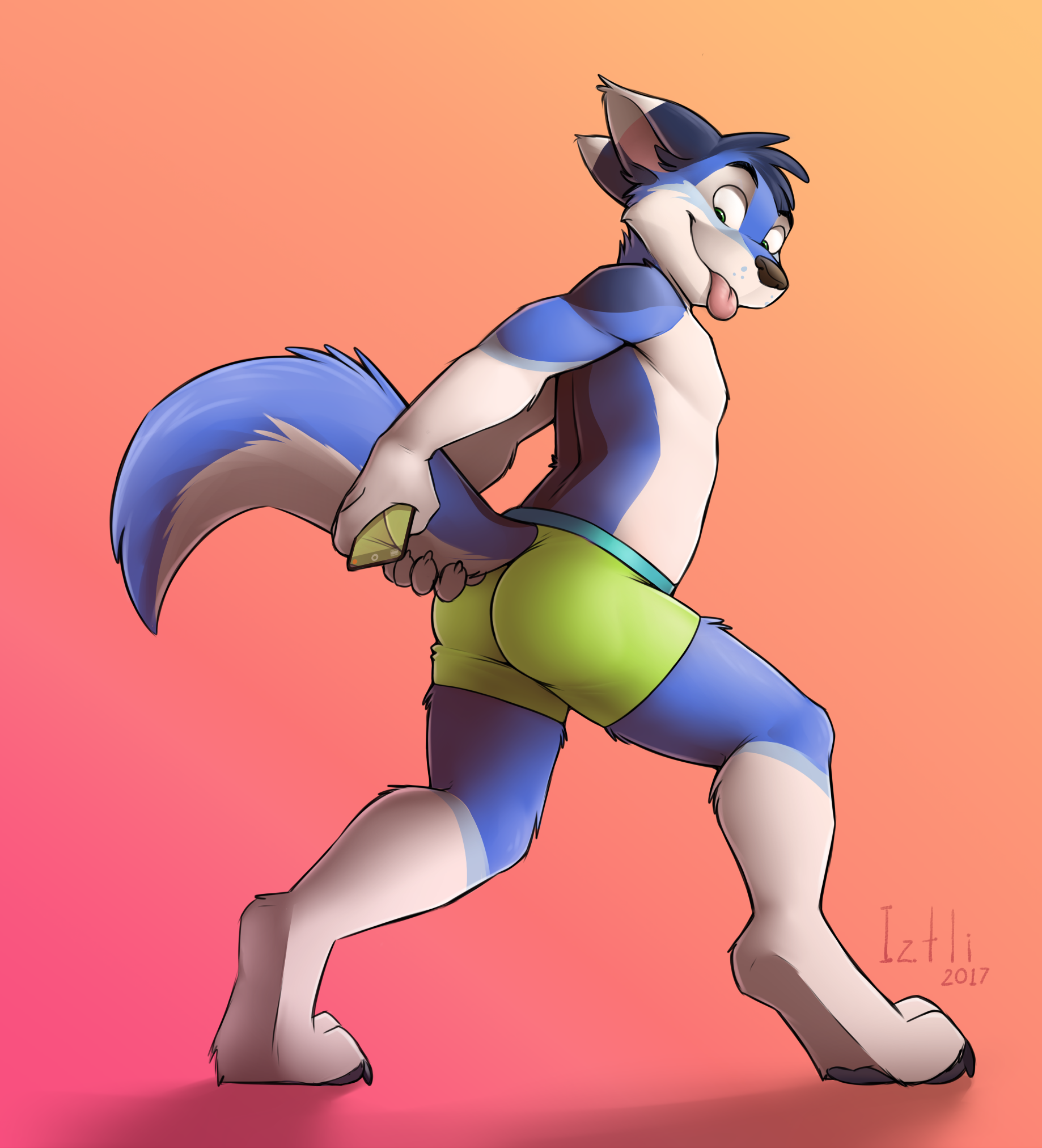 1_male 2017 anthro ass black_ears black_hair black_nose blep blue_body blue_eyes blue_fur blue_tail bottomwear bottomwear_only canid canis clothed clothing dipstick_ears domestic_dog electronics fur green_bottomwear green_clothing green_underwear hair hi_res holding_object holding_phone husky hybrid iztli male mammal masculine monotone_hair multicolored_body multicolored_ears multicolored_fur multicolored_tail phone rear_view solo tail tongue tongue_out topless two_tone_body two_tone_ears two_tone_fur two_tone_tail underwear underwear_only white_body white_ears white_fur white_tail wolf