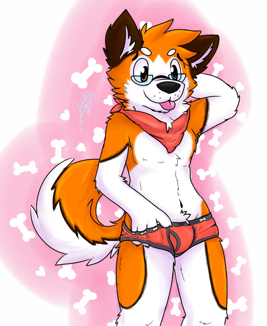 created by gaokun