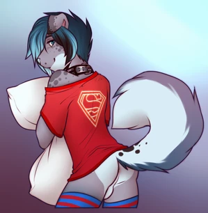 1_male 2015 anthro anus ass australian_shepherd backsack balls black_ears black_nose blue_body blue_clothing blue_eyes blue_fur blue_hair blue_legwear blue_nose blue_tail blue_thigh_highs canid canis clothed clothing collar curled_tail dipstick_ears domestic_dog femboy feminine floppy_ears fur genitals grey_body grey_ears grey_fur grey_tail hair hi_res legwear lockworkorange looking_at_viewer looking_back looking_back_at_viewer male mammal monotone_hair multicolored_body multicolored_ears multicolored_fur multicolored_tail off_shoulder pattern_clothing pattern_legwear pattern_thigh_highs rear_view red_clothing red_legwear red_shirt red_t-shirt red_thigh_highs red_topwear rileymutt shirt solo striped_clothing striped_legwear striped_thigh_highs t-shirt tail thigh_highs topwear two_tone_ears white_balls white_body white_fur white_tail
