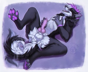 1_male 2023 animal_genitalia animal_penis anthro balls black_body black_ears black_fur black_tail butteredshep canid canine_genitalia canine_penis canis curled_tail domestic_dog erection fur genitals hair husky knot knotted_penis male mammal masculine masturbation multicolored_body multicolored_fur multicolored_hair multicolored_tail open_mouth pawpads paws penis purple_ears purple_hair purple_pawpads purple_penis sheath solo tail tailwag two_tone_body two_tone_fur two_tone_hair two_tone_tail white_balls white_body white_fur white_hair white_inner_ear white_sheath white_tail