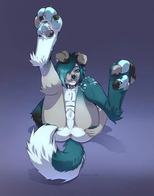 1_male 2021 anthro anus ass australian_shepherd balls black_ears black_nose black_pawpads blue_body blue_eyes blue_fur blue_hair blue_nose blue_pawpads blue_tail canid canis collar curled_tail dipstick_ears domestic_dog floppy_ears fur genitals grey_body grey_ears grey_fur grey_nose grey_pawpads grey_tail hair hi_res julicat looking_at_viewer male mammal masculine monotone_hair multicolored_body multicolored_ears multicolored_fur multicolored_tail pawpads paws rileymutt solo spreading spreading_ass spreading_own_ass tail two_tone_ears white_balls white_body white_fur white_tail