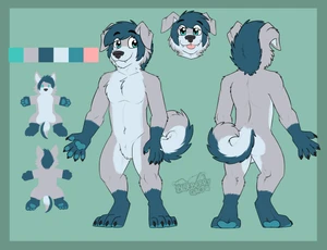 1_male 2021 anthro australian_shepherd black_nose blep blue_body blue_eyes blue_fur blue_hair blue_pawpads blue_tail canid canis chibi curled_tail domestic_dog floppy_ears fur gaokun gloves_(marking) grey_body grey_fur grey_tail hair hi_res looking_at_viewer maidboye male mammal markings masculine model_sheet monotone_ears monotone_hair multicolored_body multicolored_fur multicolored_tail multiple_poses pawpads paws solo tail tongue tongue_out watermark white_body white_fur white_tail