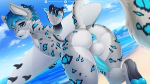 1_male 2019 anthro anus archon_eclipse backsack balls black_body black_ears black_fur black_tail blue_anus blue_body blue_ears blue_eyes blue_fur blue_glans blue_hair blue_nose blue_pawpads blue_penis blue_tail erection felid feminine fur genitals glans grey_body grey_ears grey_fur grey_tail hair hi_res holding_object holding_surfboard humanoid_genitalia humanoid_penis inner_ear_fluff looking_at_viewer looking_back looking_back_at_viewer male mammal markings monotone_hair multicolored_body multicolored_ears multicolored_fur multicolored_tail nude nude_anthro nude_male open_mouth pantherine pawpads paws penis rear_view snow_leopard solo spots spotted_body spotted_ears spotted_fur spotted_tail surfboard tail tuft valkoinen watermark white_balls white_body white_fur white_inner_ear white_tail