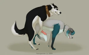2019 2_males anal anal_penetration animal_genitalia animal_penis australian_shepherd balto_(series) black_body black_ears black_fur black_nose blue_body blue_fur blue_hair blue_nose blue_tail canid canine_genitalia canine_penis canis cum dipstick_ears domestic_dog duo fenn.perrox feral feral/feral feral_penetrated feral_penetrating feral_penetrating_feral floppy_ears fur genital_fluids genitals grey_body grey_ears grey_fur grey_nose grey_tail hair knot knotted_penis male male/male male_penetrated male_penetrating male_penetrating_male mammal masculine monotone_ears monotone_hair multicolored_body multicolored_ears multicolored_fur multicolored_tail multiple_males penetration penile penile_penetration penis penis_in_ass rileymutt sex steele_(balto) tail two_tone_body two_tone_ears two_tone_fur two_tone_tail universal_studios white_body white_fur white_tail