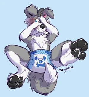 1_male 2019 anthro black_nose black_pawpads blue_eyes blush border_collie bottomwear canid canis clothed clothing diaper diaper_only dipstick_tail domestic_dog embarrassed floppy_ears fur grey_body grey_ears grey_fur grey_hair grey_tail hair hi_res male mammal markings masculine monotone_ears monotone_hair multicolored_body multicolored_fur multicolored_tail pawpads paws pink_inner_ear solo tail tail_markings tinyhops topless two_tone_body two_tone_fur two_tone_tail wearing_diaper white_body white_fur white_tail
